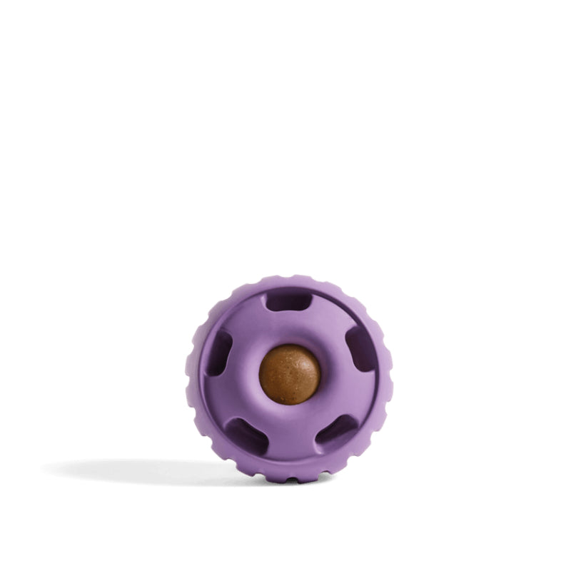 Long Lasting Treat Dispenser Dog Toy