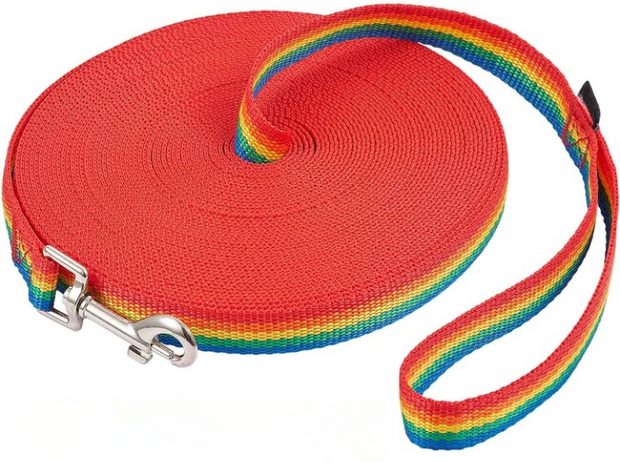 Rainbow Training Leash for Dogs
