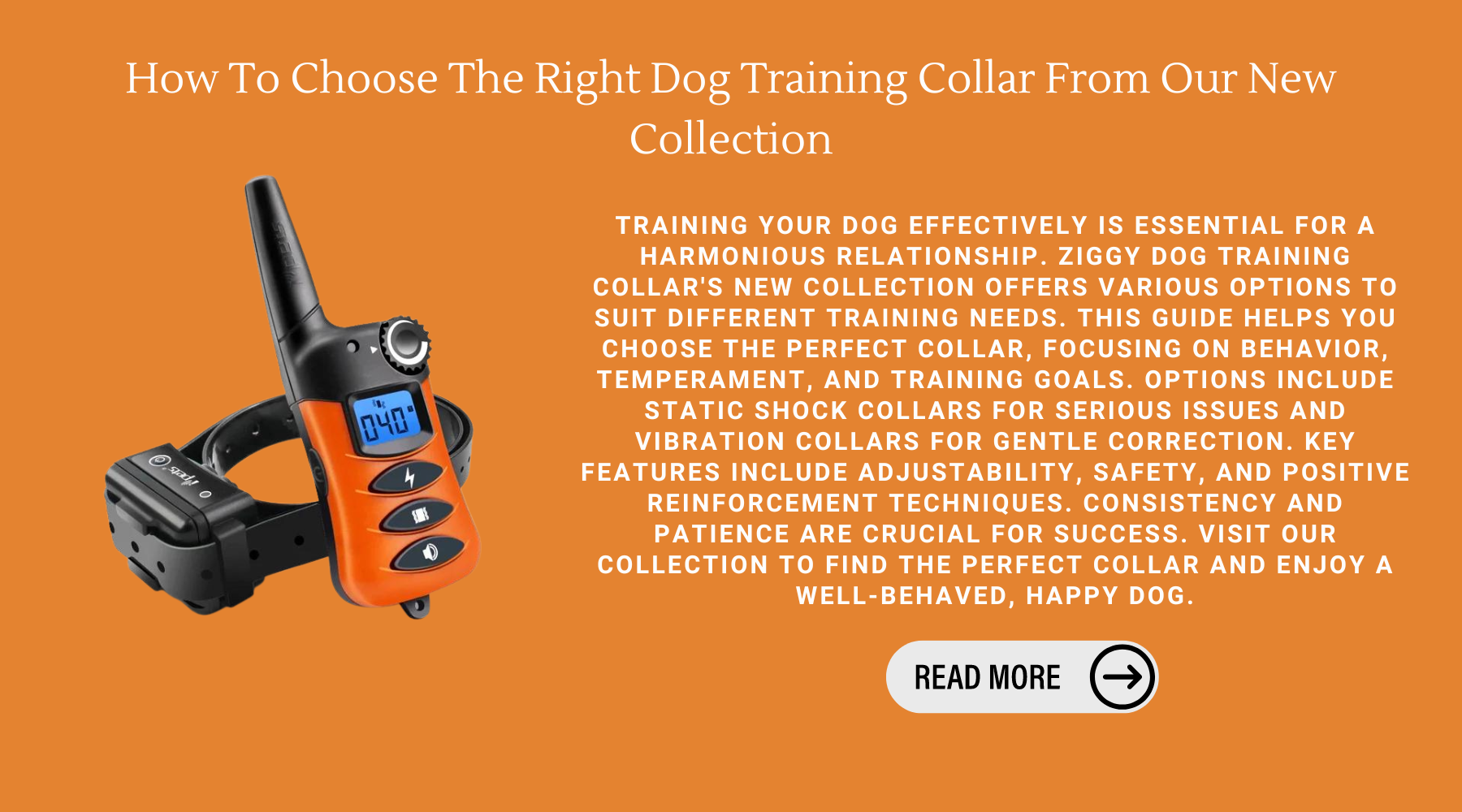 How To Choose The Right Dog Training Collar From Our New Collection