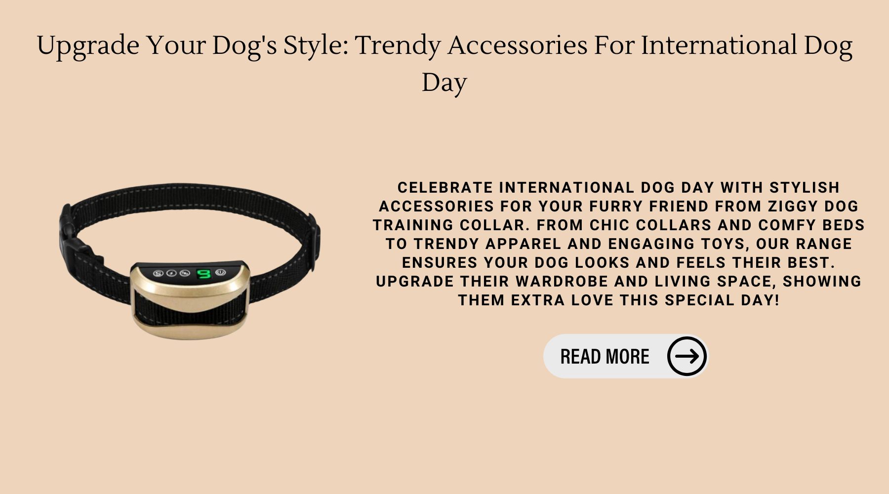 Upgrade Your Dog's Style: Trendy Accessories For International Dog Day