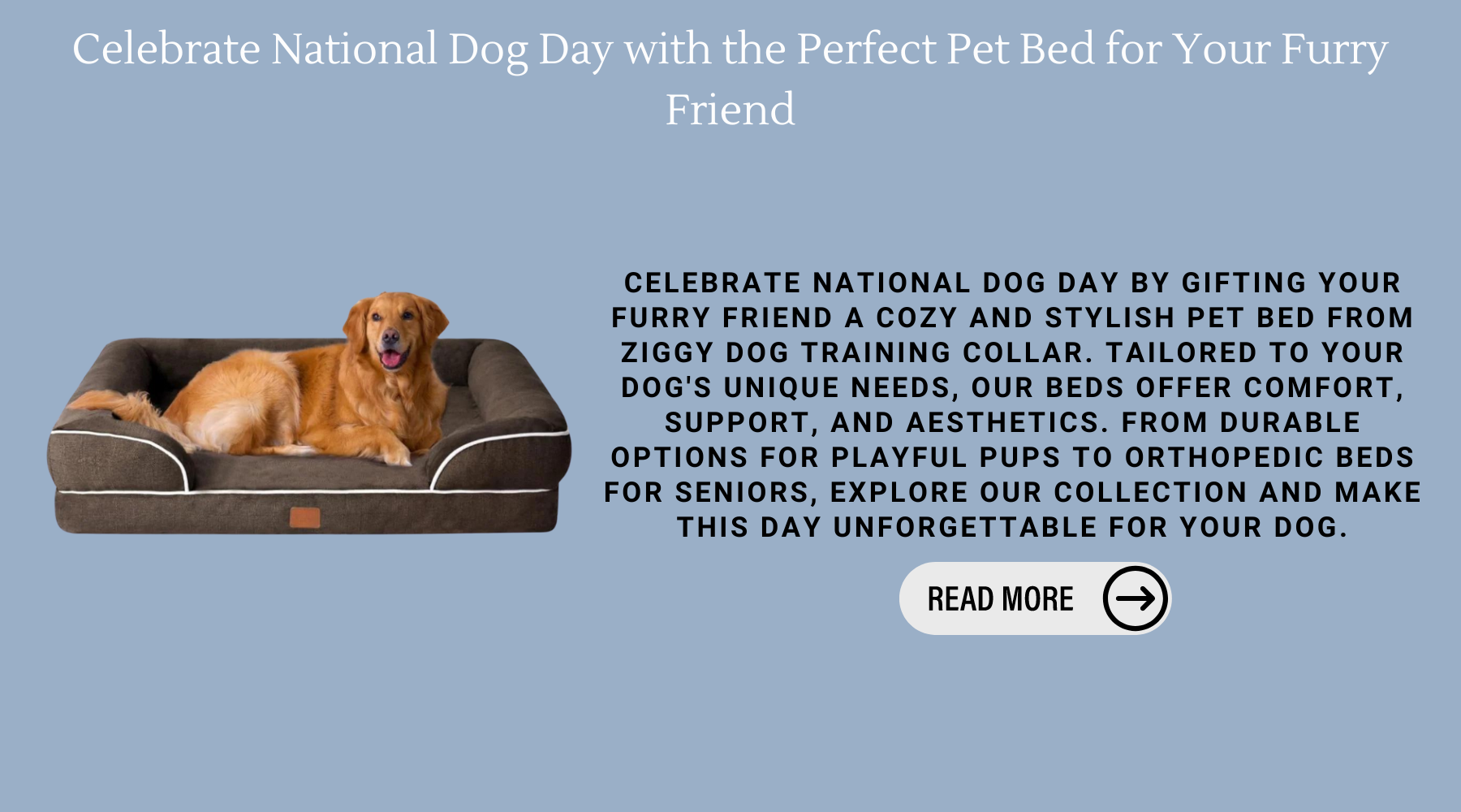 Celebrate National Dog Day with the Perfect Pet Bed for Your Furry Friend