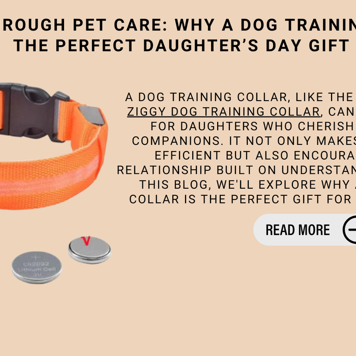 Bonding Through Pet Care: Why A Dog Training Collar Is The Perfect Daughter’s Day Gift