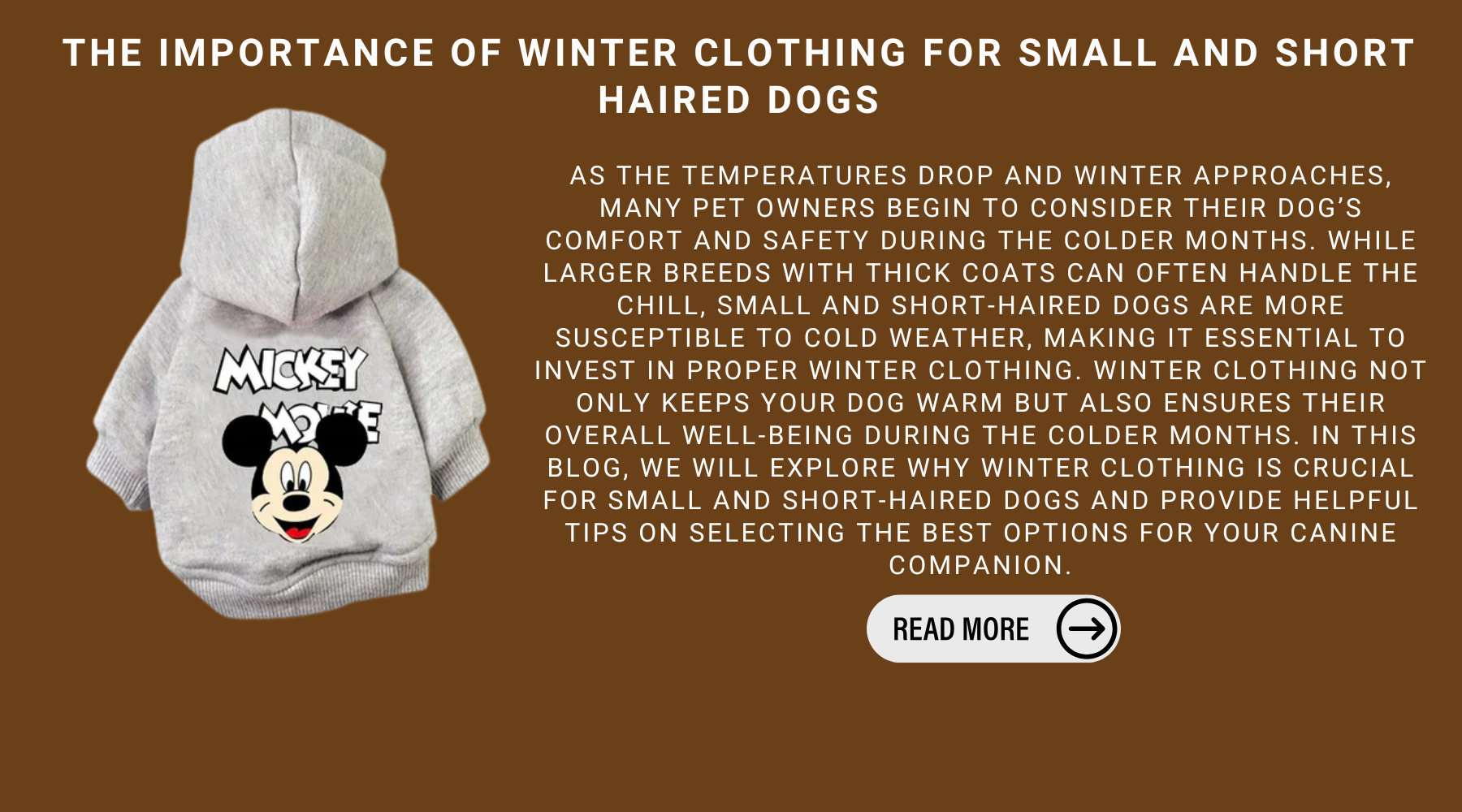 The Importance Of Winter Clothing For Small And Short Haired Dogs