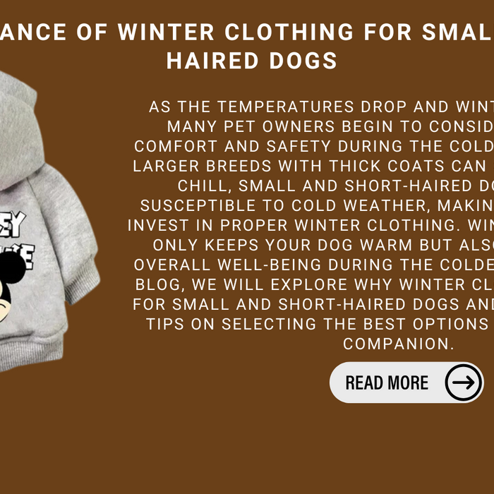 The Importance Of Winter Clothing For Small And Short Haired Dogs