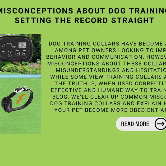 Common Misconceptions About Dog Training Collars: Setting The Record Straight