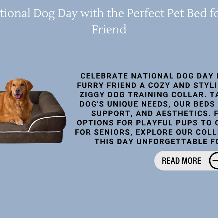 Celebrate National Dog Day with the Perfect Pet Bed for Your Furry Friend