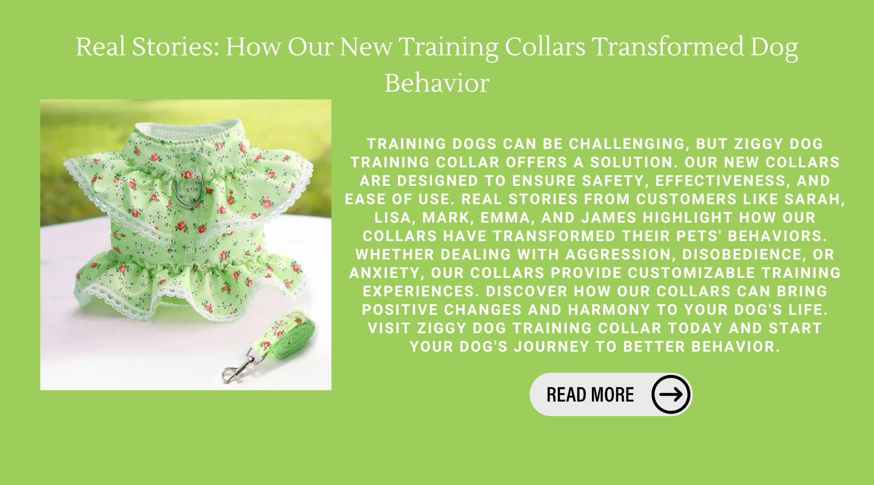 Real Stories: How Our New Training Collars Transformed Dog Behavior