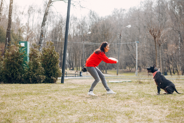 Is remote dog collar training safe and effective?