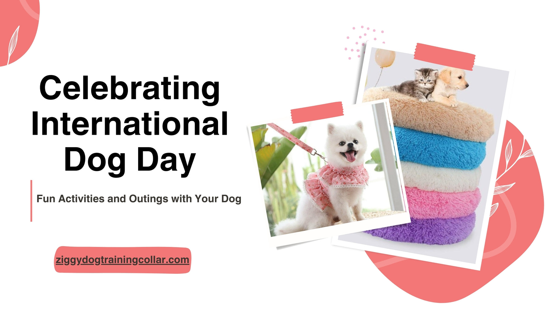 Celebrating International Dog Day: Fun Activities and Outings with Your Dog