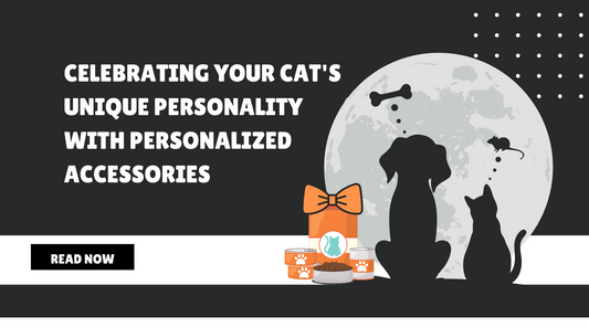 Celebrating Your Cat's Unique Personality with Personalized Accessories
