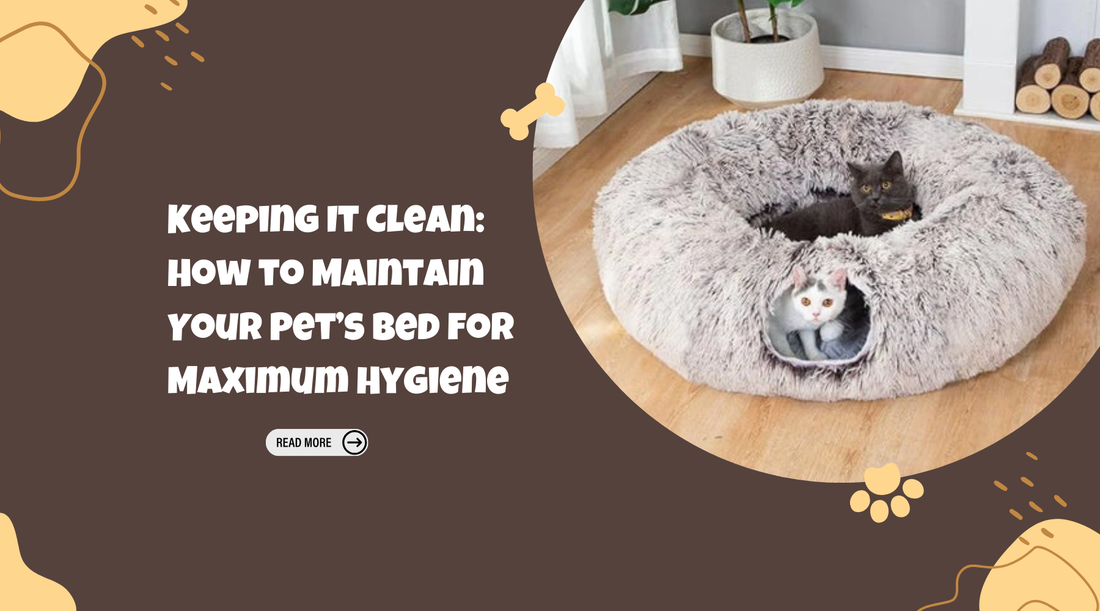 Keeping It Clean: How to Maintain Your Pet’s Bed for Maximum Hygiene