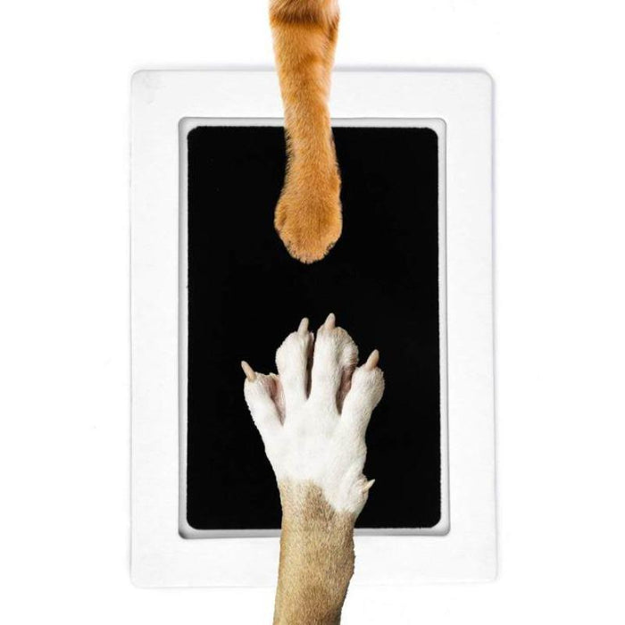 Paw Print Pad (2 Pack)