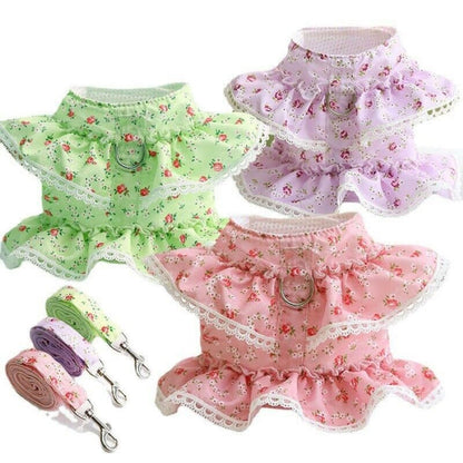 Floral Dog Dress With Lace Trim And Lead Set