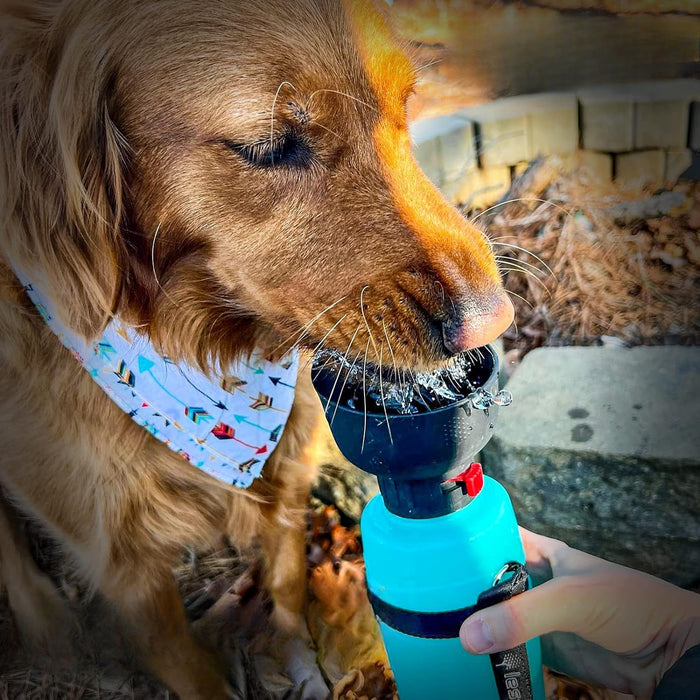 Leak Proof Portable Pet Water Bottle