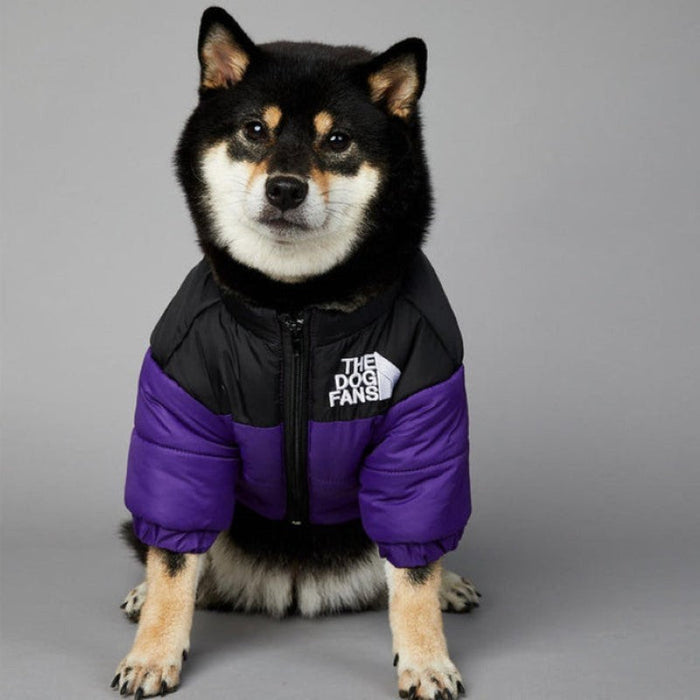 Designer Dog Coat For Fall And Winter