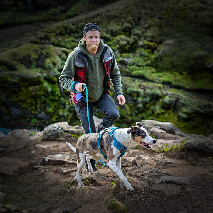 Leak Proof Portable Pet Water Bottle