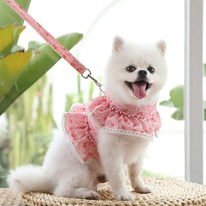 Floral Dog Dress With Lace Trim And Lead Set