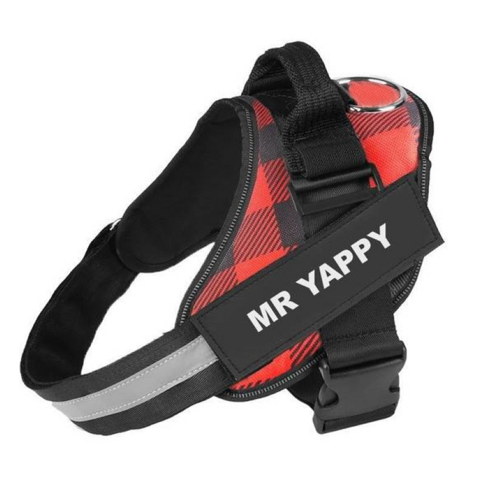 Adjustable Dog Harness With Reflective Straps