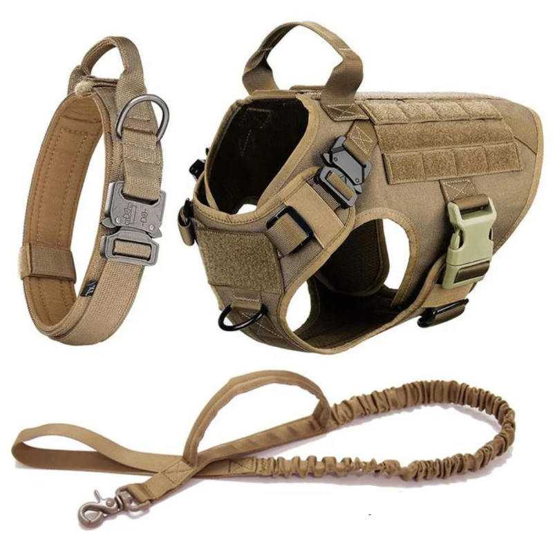 Dog Harness With Dual D Rings