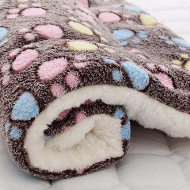 Thickened Pet Patterned Bed