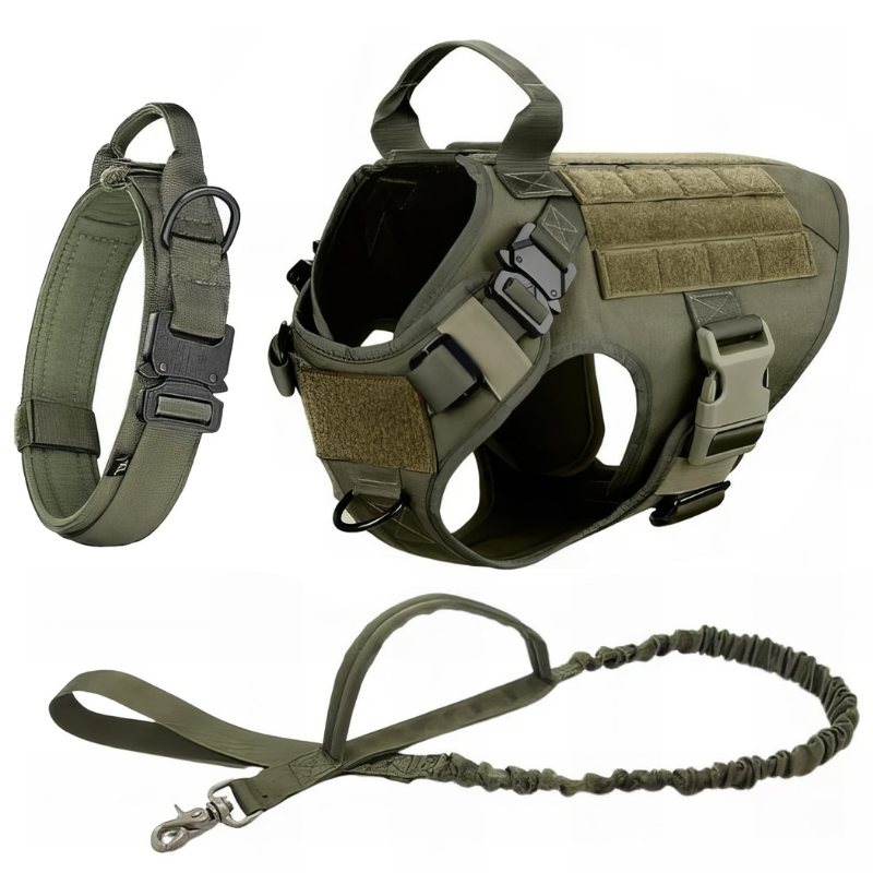 Dog Harness With Accessories