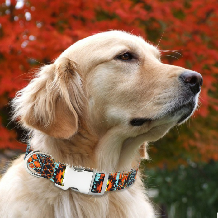 Engraved Name Collar For Dogs