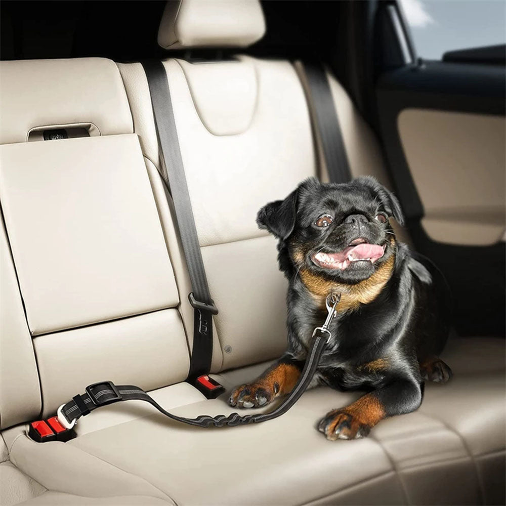 Seatbelt Car Travel Supplies For Pet