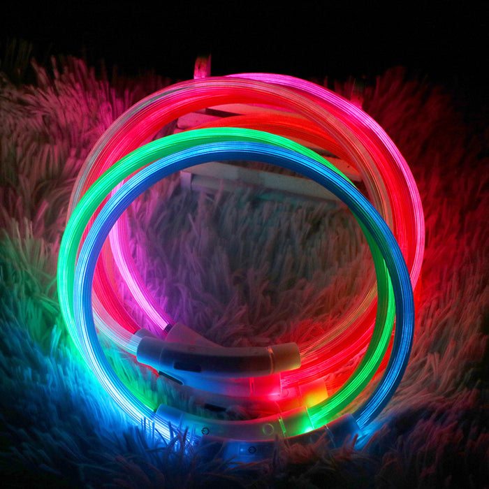 Led Luminous USB Dog Collar