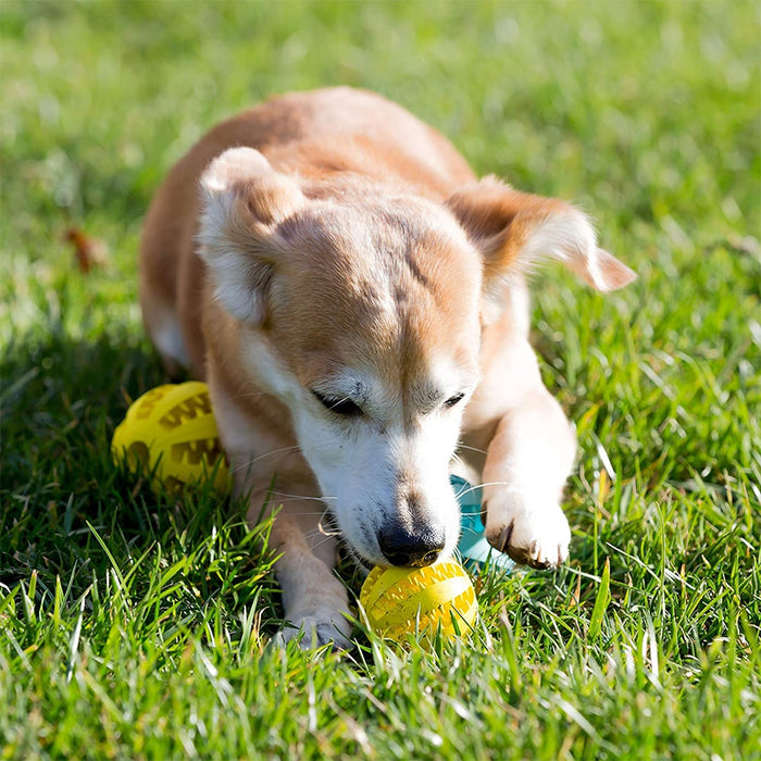 Rubber Ball For Puppy Tooth Cleaning