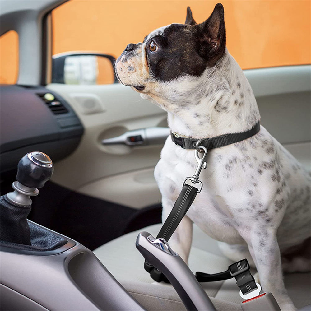 Adjustable Seatbelt Harness For Dogs