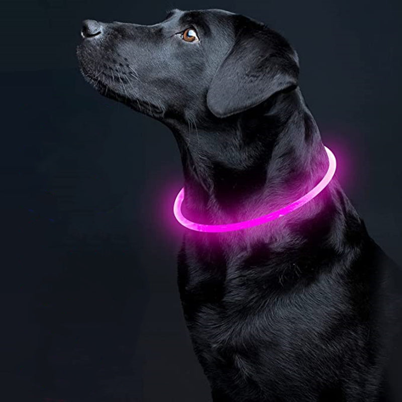 Led Luminous USB Dog Collar