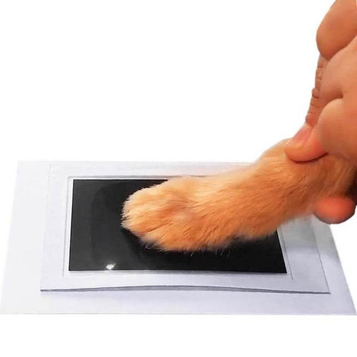 Paw Print Pad (2 Pack)