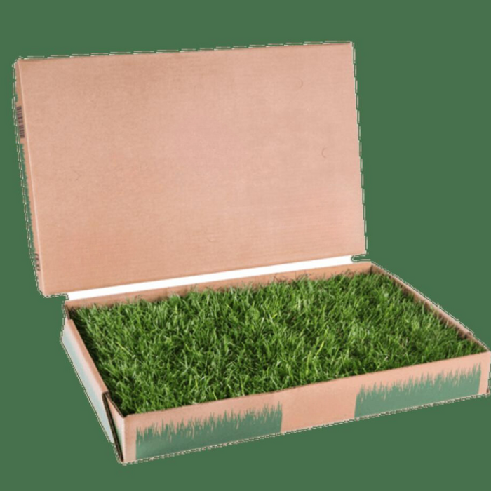 Large Patch Real Grass Dog Waste Box