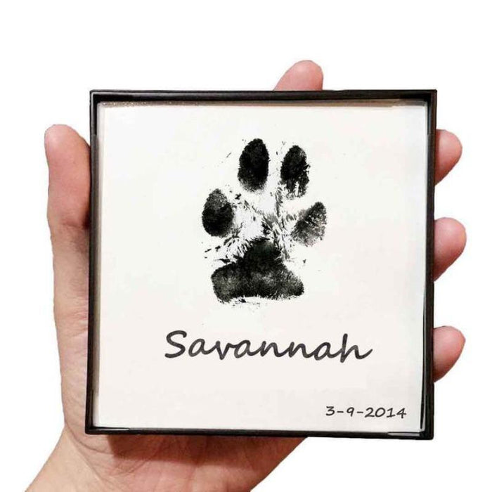 Paw Print Pad (2 Pack)