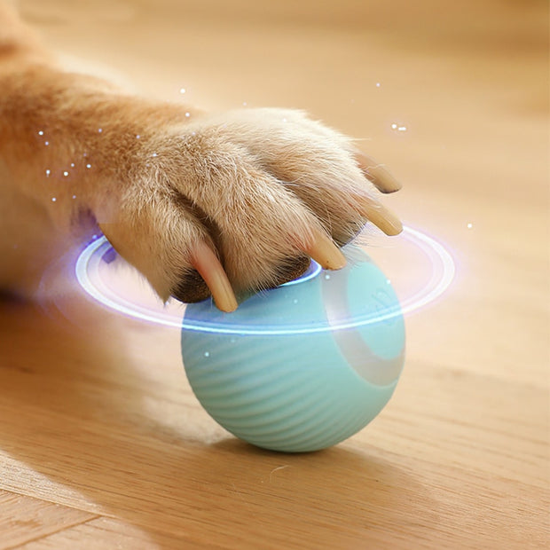 Electric Rolling Ball Pet Toys