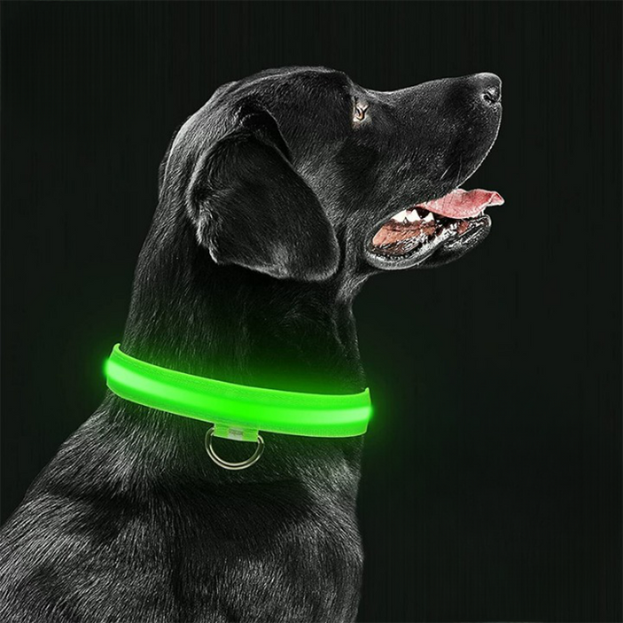 LED Glowing Rechargeable Dog Collars