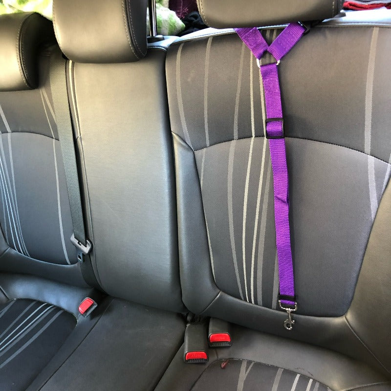 Adjustable Nylon Lead Leash Seat Belt