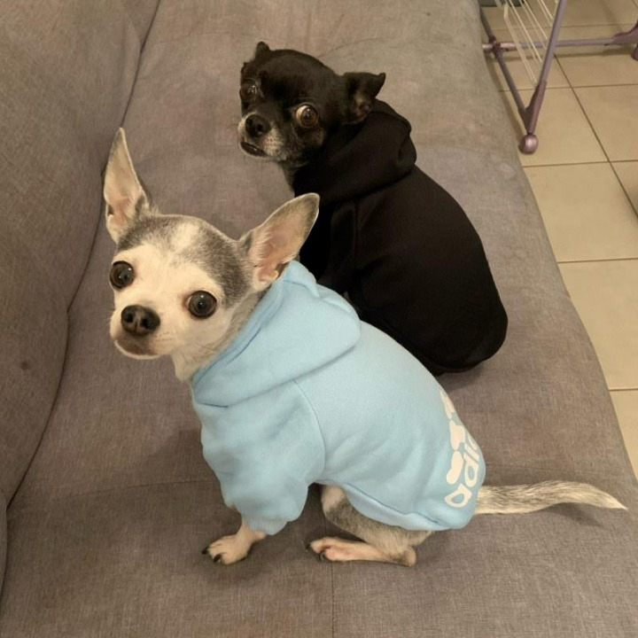Warm Hoodies Clothes For Pet