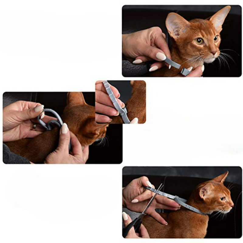Pet Flea And Tick Collar For Cats