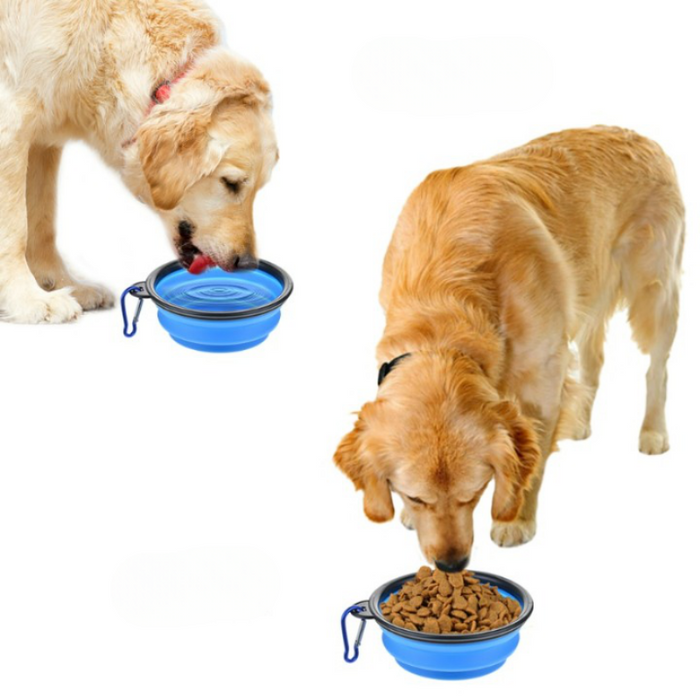 Foldable And Portable Feeder Bowl