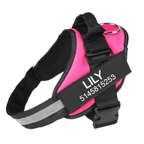 Adjustable Dog Harness With Reflective Straps