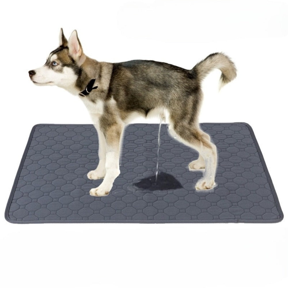 Absorbent Diaper Washable Puppy Training Pad