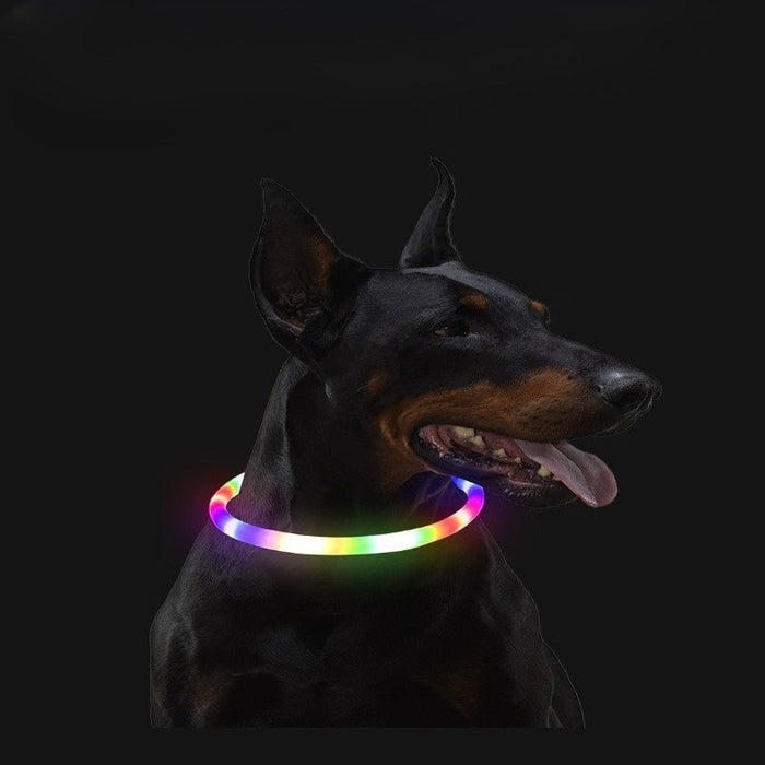 Led Luminous USB Dog Collar