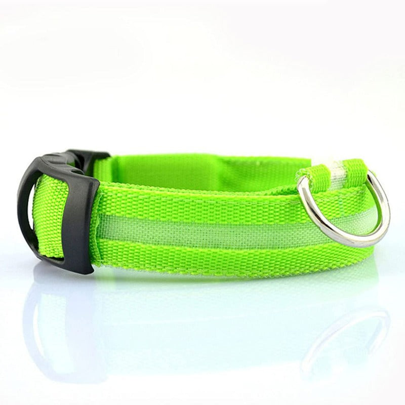 LED Glowing Rechargeable Dog Collars