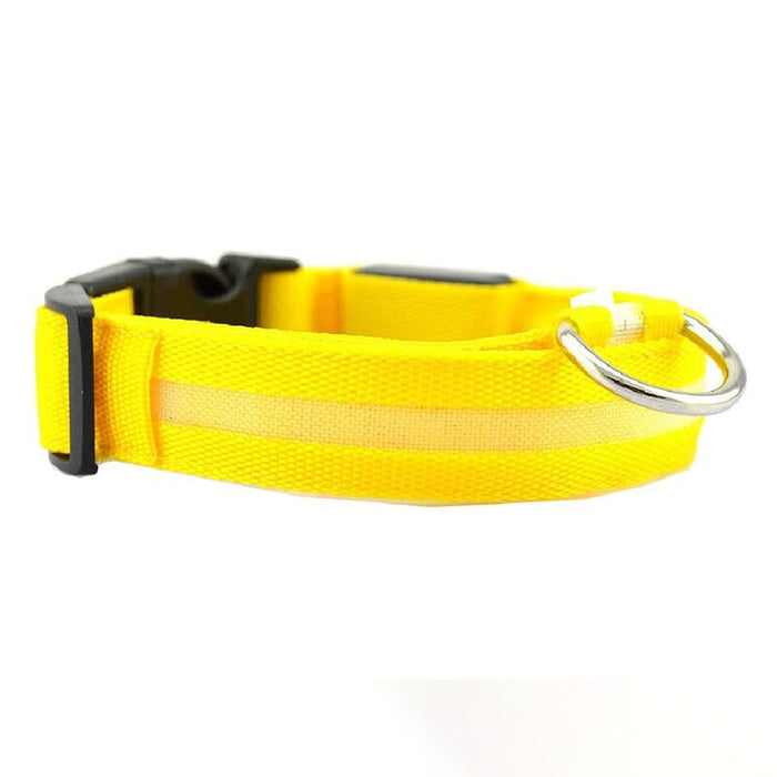 LED Glowing Rechargeable Dog Collars