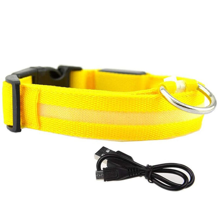 LED Glowing Rechargeable Dog Collars