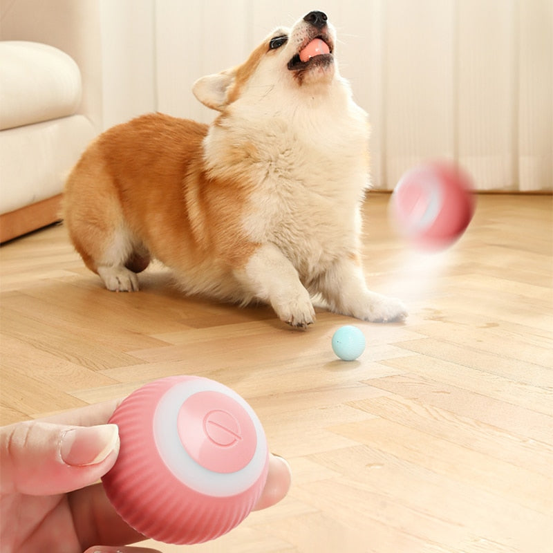 Electric Rolling Ball Pet Toys