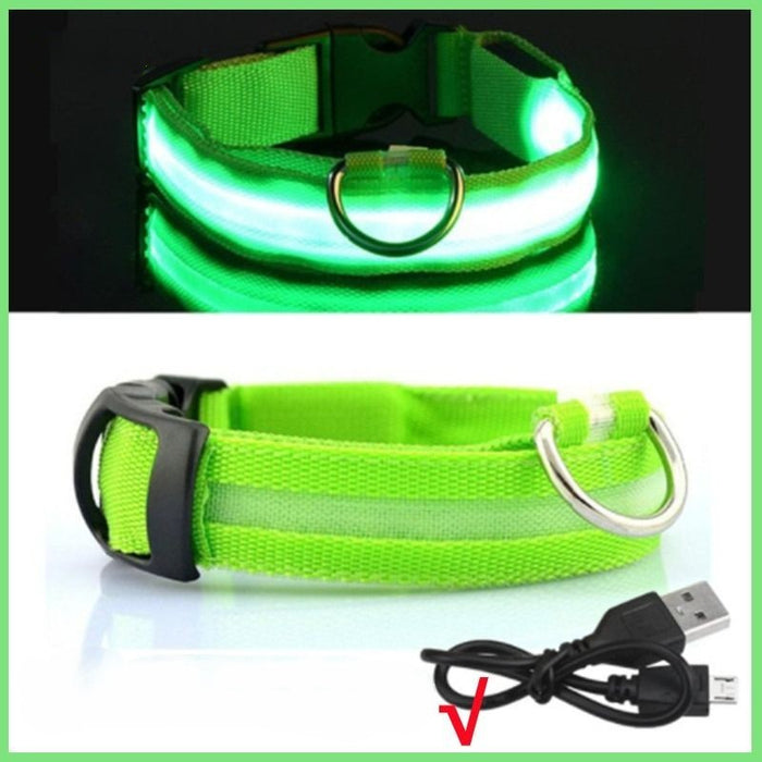 Rechargeable Adjustable LED Flashing Glowing Dog Collar