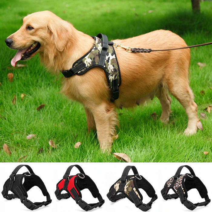 Ziggy Padded Heavy Duty Pet Harness