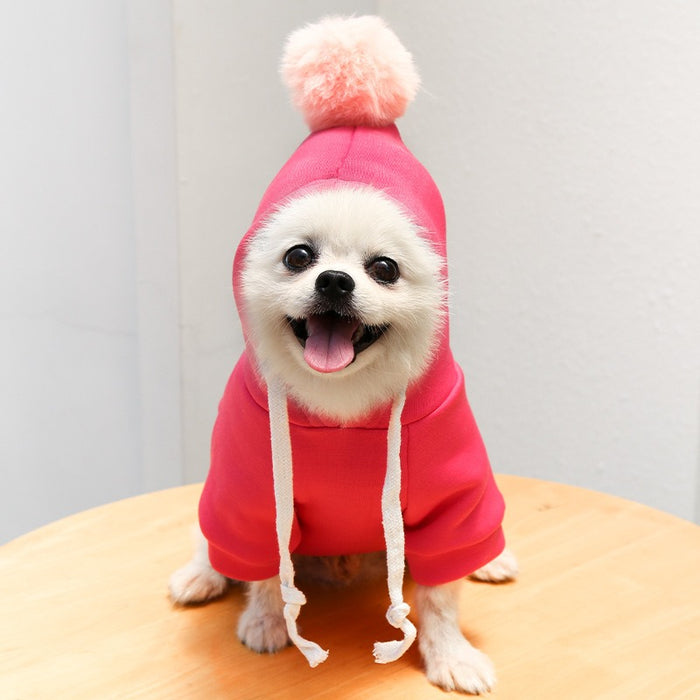 Warm Fleece Printed Hoodies For Small Dogs